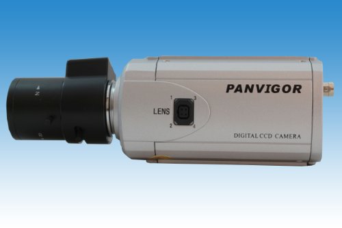 Panvigor 1/3