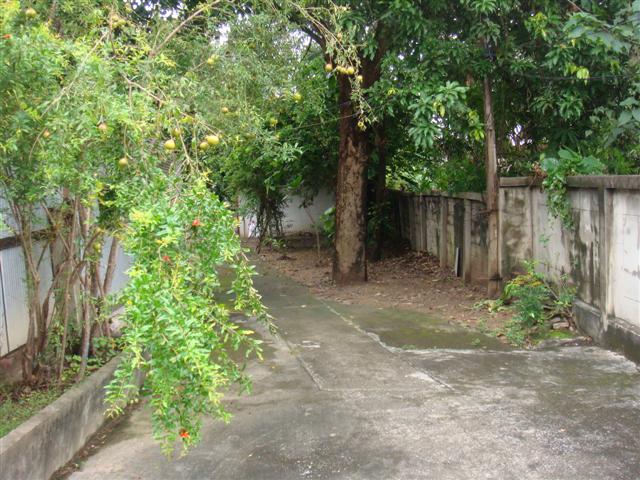 ที่ดินติดถนนคูเมือง เชียงใหม่(Land Road Chiang Mai moat)  .. รูปที่ 6