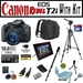 รูปย่อ Review Canon EOS Rebel T2i 18.0 Megapixel Digital SLR Camera Advanced Starter Holiday Kit with EF-S 18-135mm f/3.5-5.6 IS, Opteka 7" Digital Picture Frame, Backpack, 16Gb SD Memory card, Extra LP-E8 Battery, Opteka Tripod and Monopod and Much More รูปที่1