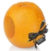 รูปย่อ USB Computer Speaker Orange Fruit Speaker Pair ( OSD Audio Computer Speaker ) รูปที่2