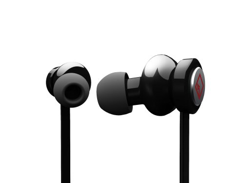 Rockford Fosgate PP15mm Punch Plugs In-Ear Headphones (Black) ( Rockford Fosgate Ear Bud Headphone ) รูปที่ 1