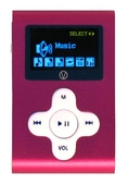 Visual Land V-Clip 2 GB LCD/MP3/WMA/Voice Recorder/FM Radio (Pink) ( Visual Land Player )