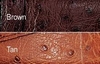 รูปย่อ Signature Ostrich Belt (leather belt ) รูปที่2