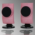 Frisby USB PC Computer Desktop Laptop Notebook Speakers-PINK ( Frisby Computer Speaker )