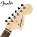 รูปย่อ Fender Stop Dreaming, Start Playing Set: Affinity Black Strat HSS with G-DEC® Junior Amp & Fender/ GO-DPS 12 Pack Pick Sampler (Part# DPS-FN-SAMPLER) ( Squier Affinity guitar Kits ) ) รูปที่4