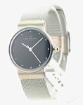 Womens Skagen Steel Ultra Slim Dress Watch 355SSSB