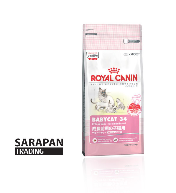 อาหารแมว อาหารน้องเหมียว Royal canin ANF ขายทรายแมว ราคาถูก ส่งถึงที่บ้าน รูปที่ 3
