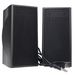 รูปย่อ Benwin MG-USB-P 2-Piece USB 2.0 Speakers Set (Black) ( Benwin Computer Speaker ) รูปที่1