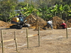 รูปย่อ + + + FOUNDATION SERVICE ! ! ! Excavation – Pile cutting – Compaction – Leveling - Lean oncrete – Footing and Backfill รูปที่4