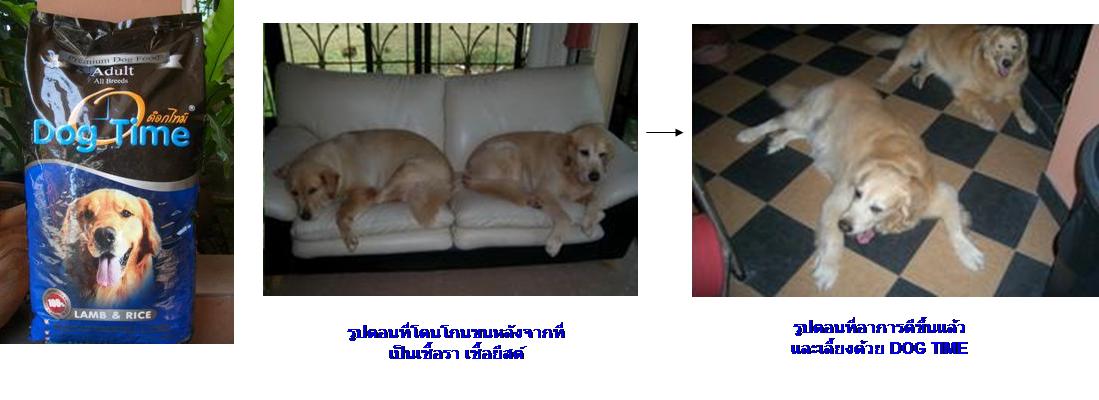 อาหารสุนัข:DOG TIME lamb&rice สำหรับสุนัขที่มีอาการภูมิแพ้ แพ้โปรตีนไก่ รูปที่ 1