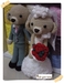 รูปย่อ ~~: Wedding Ami :~~ ตุ๊กตาแต่งงาน รูปที่3