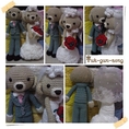 ~~: Wedding Ami :~~ ตุ๊กตาแต่งงาน