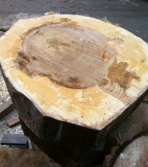 หัวไม้ poplar (มีหลายขนาด) สำหรับตกแต่งสวน ต้องการขายเป็นจำนวนมาก มีราคาเหมา รูปที่ 4