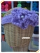 รูปย่อ ~~: Big bloosom hairband :~~ สายคาดผมติดดอกไม้สไตล์เกาหลี รูปที่1