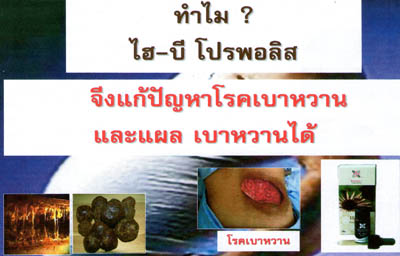 ไฮ-บี โปรพอลิส ( Hi-Bee propolis ) แก้ปัญหาแผลเน่าจากโรคเบาหวาน รูปที่ 2