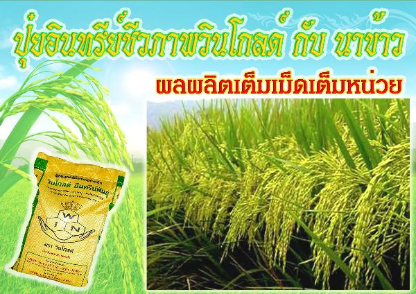 ปุ๋ยวินโกลด์   นวัตกรรมใหม่แห่งวงการเกษตร รูปที่ 3