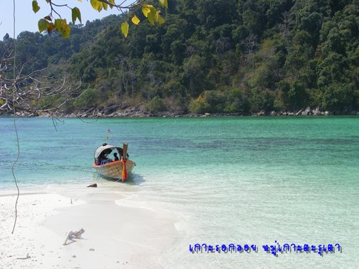 แพคเกจทัวร์ เกาะหลีเป๊ะ หลีเป๊ะ 3วัน2คืน มัลดีฟเมืองไทย*ไม่ไปไม่ได้แล้ว รูปที่ 2
