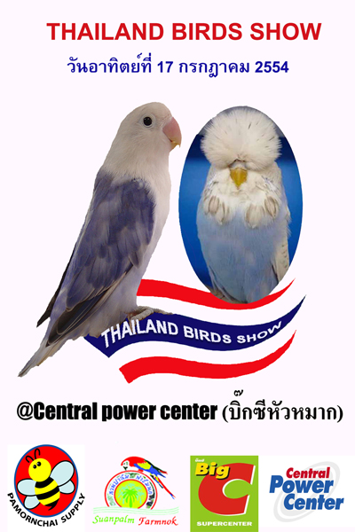 เชิญเพื่อนเลี้ยงนกเลิฟเบิร์ดและหงษ์หยกเข้าประกวดนก รูปที่ 4