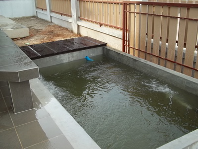 รับทำบ่อปลาคาร์ฟ  รับรักษาปลาคาร์ฟ  รับทำระบบบ่อปลาคาร์ฟ  0850894782  หนึ่ง รูปที่ 3