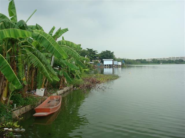 ที่ดินสระน้ำดอนเมือง(Land ponds Don Muang) รูปที่ 4
