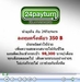 รูปย่อ ธุรกิจ Internet ที่มาแรงที่สุดในตอนนี้  รูปที่3