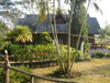 รูปย่อ ขายหรือให้เช่า บ้านปีกไม้สักสไตล์รีสอร์ทบนดอยใกล้เมืองเชียงใหม่ ในหุบเขาที่โป่งแยง (WOOD HOUSE IN CHIANGMAI FOR SALE) รูปที่3