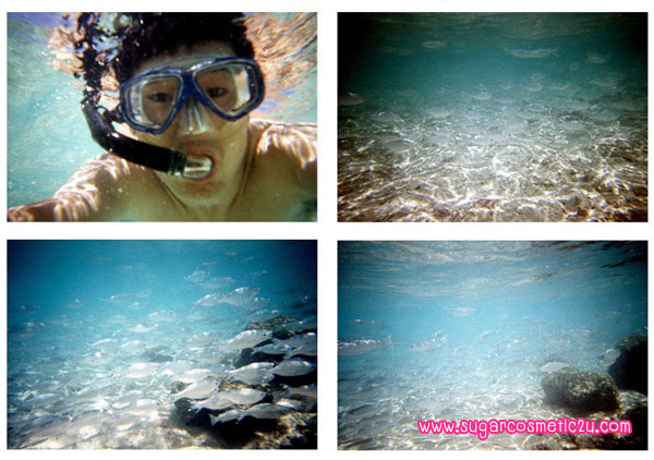 ขายกล้องถ่ายใต้น้ำ LOMO ราคาถุกสุดๆ!!! รูปที่ 1