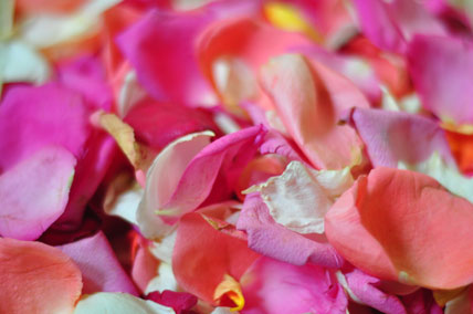 ร้านขันดอก ฟลอรีส 15/5 ต.สันป่าข่อย อ.เมือง จ.เชียงใหม่  รูปที่ 7