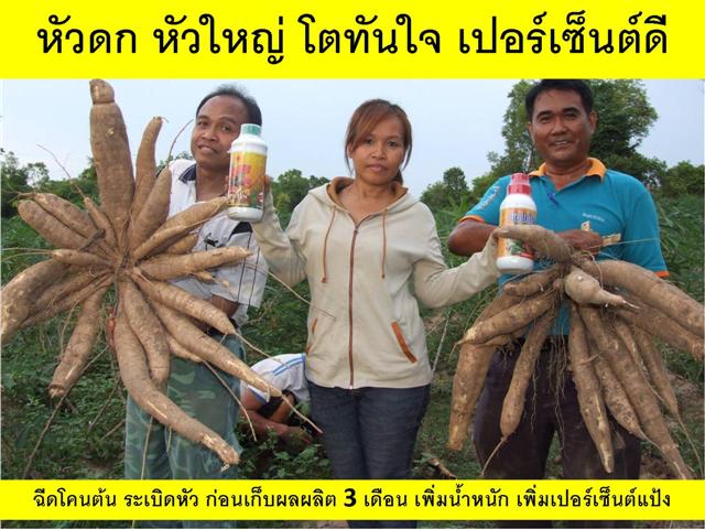 สุดยอดปุ๋ยอินทรีย์น้ำมหัศจรรย์ สูตรนาโนจากประเทศญี่ปุ่น 440 บาทใช้ได้ 10 ไร่ ปลอดสารพิษ เพิ่มผลผลิต ไร้สารตกค้าง รูปที่ 4