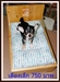 รูปย่อ เตียงน้องหมา ^ ^ รูปที่1
