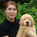 รูปย่อ HILL SIDE GOLDENS CHIANGMAI : มีลูกสุนัขโกลเด้น รีทรีฟเวอร์ เพศผู้และเพศเมีย จำหน่าย ..... รูปที่7