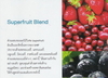 รูปย่อ Maqui Berry Juice สุดยอดผลิตภัณฑ์ต่อต้านอนุมูลอิสระที่สูงที่สุดในโลก รูปที่3