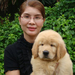 รูปย่อ HILL SIDE GOLDENS CHIANGMAI : มีลูกสุนัขโกลเด้น รีทรีฟเวอร์ เพศผู้และเพศเมีย จำหน่าย ..... รูปที่6