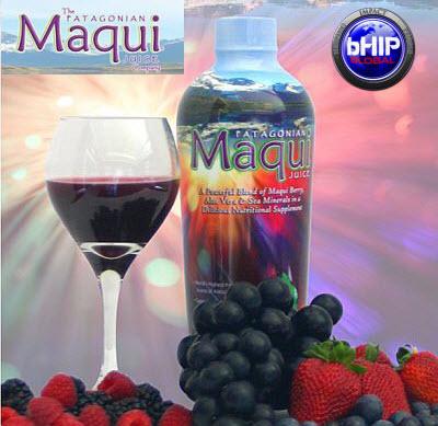 Maqui Berry Juice สุดยอดผลิตภัณฑ์ต่อต้านอนุมูลอิสระที่สูงที่สุดในโลก รูปที่ 1