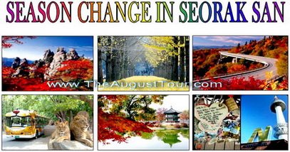 SEASON CHANGE IN SEORAK SANทัวร์เกาหลี เดือนตุลาคม54 ใบไม้เปลี่ยนสีที่โรแมนติค ราคาท่านละ21,900-24,900บาทเท่านั้น รูปที่ 1