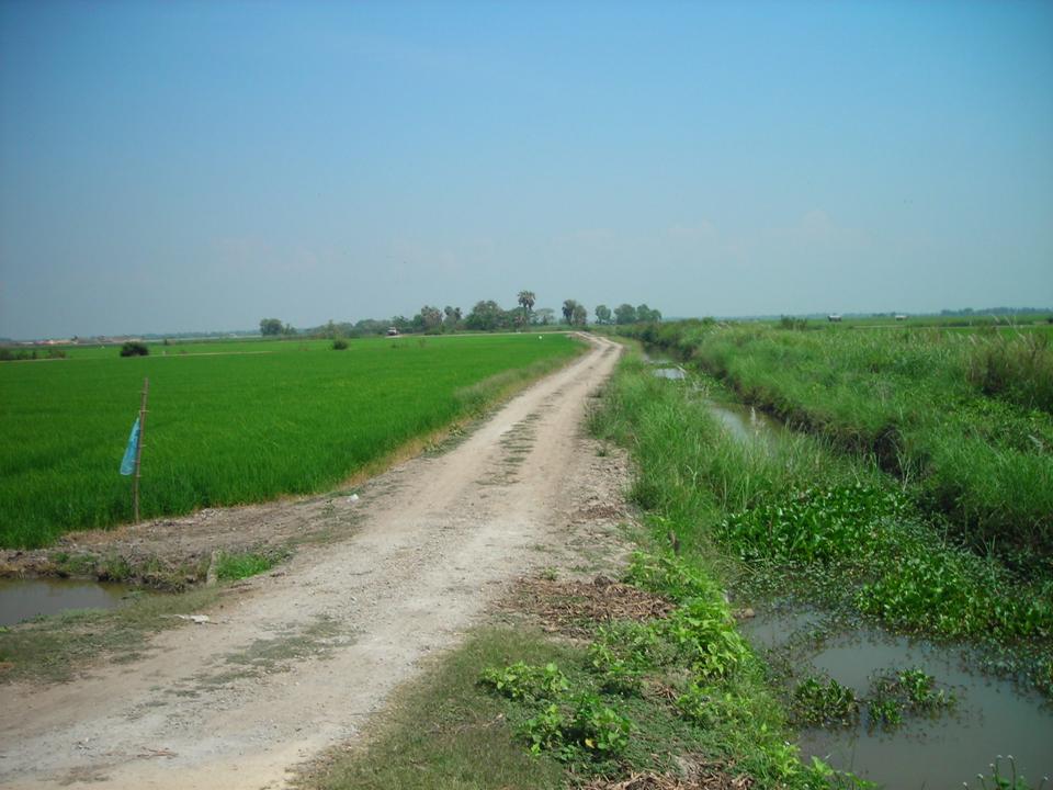 ที่นา 9,000 ไร่ อยุธยา(In 9,000 the farm in Ayutthaya)  รูปที่ 2