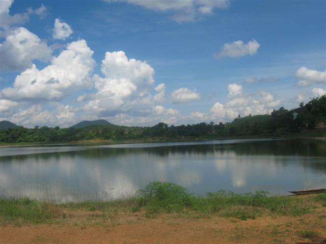 สวนยาง 4 ปี 115 ไร่ เชียงราย(115 rai of rubber plantation in Chiang Rai)  รูปที่ 7