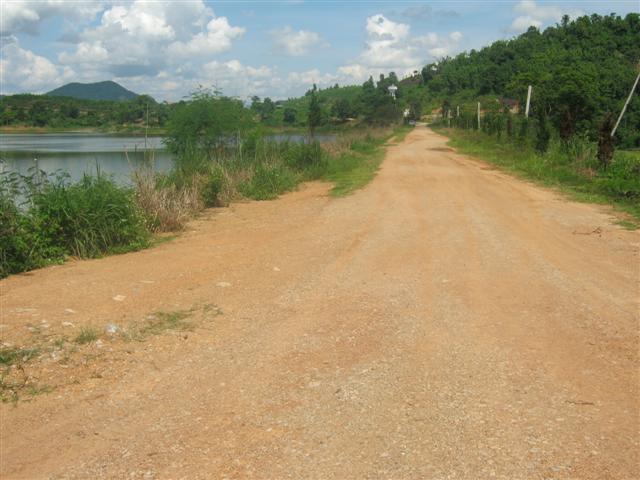 สวนยาง 4 ปี 115 ไร่ เชียงราย(115 rai of rubber plantation in Chiang Rai)  รูปที่ 6