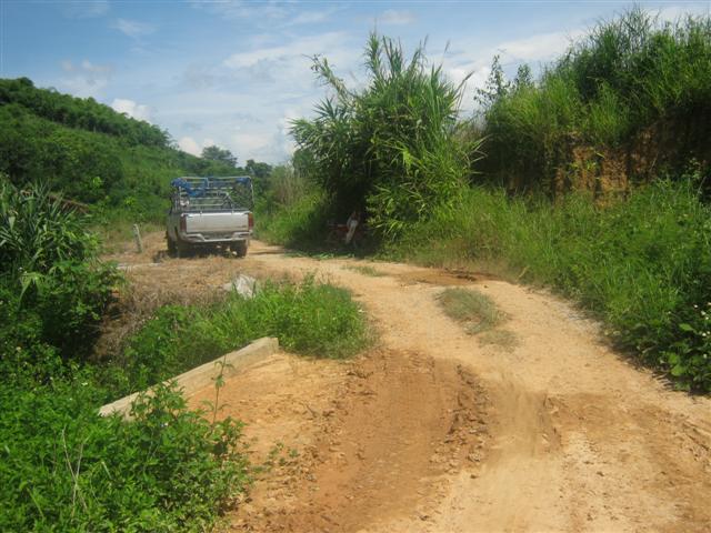 สวนยาง 4 ปี 115 ไร่ เชียงราย(115 rai of rubber plantation in Chiang Rai)  รูปที่ 4