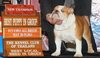 รูปย่อ แนะนำเวปไซด์ สำหรับคนรัก English Bulldog รูปที่5