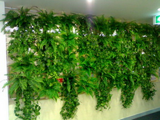 ศุภชัยต้นไม้ประดิษฐ์,ต้นไม้ Fiber (Artificial Tree) ขาย - ให้เช่า รูปที่ 3