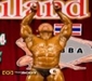 รูปย่อ เวย์โปรตีน ลดไขมัน whey protein เสริมสร้างกล้ามเนื้อ เพิ่มแรง carnitine universal nutrition animal บำรุงสุขภาพ รูปที่3