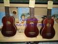 Ukulele อูคูเลเล่ ไม้ Mahogany+ สาย Aquila เพียง 2980 บ พร้อมส่งถึงบ้าน ฟรีหนังสือคู่มือการเล่น