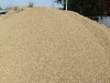 รูปย่อ ชวกิจวัสดุ,มีทรายจากแหล่งทรายคุณภาพ พร้อมระบบขนส่ง โทร.0877446456 รูปที่5