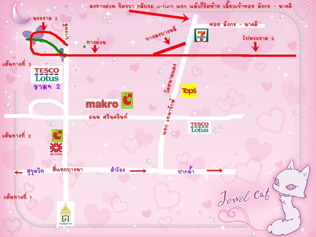 มังกร เพ็ทช็อป ซอยมังกร ถนนเทพารักษ์ ต.แพรกษาใหม่ อ.เมือง จ.สมุทรปราการ รูปที่ 6