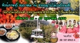 ทัวร์เกาหลี ช่วงฤดูใบไม้เปลี่ยนสี ตุลาคม 2554 ราคาเพียง 23,900 บาท เดินทาง 26-30 ตุลาคม 2554 เกาะนามิ พิเศษ !!! ชมใบไม้เปลี่ยนสี อุทยานแห่งชาติซอรัคซาน (ขึ้นเคเบิ้ลคาร์)สวนผลไม้ สวนสนุก EVERLAND ช็อปปิ้งตลาดทงแดมุน บินเครื่องบินลำใหญ่ 250 ที่นั่ง