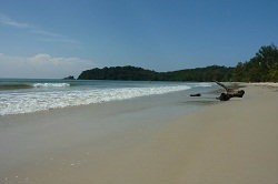 ฮอนบิล ฮัท (Hornbill Hut) รูปที่ 5