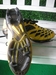 รูปย่อ รองเท้า ๅMIZUNO รุ๋น Wave igitus สีเหลือง รูปที่5
