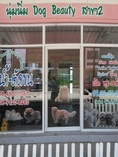 ร้านอาบน้ำ ตัดขน สุนัข นุ่มนิ่ม Dog Beauty สาขา2