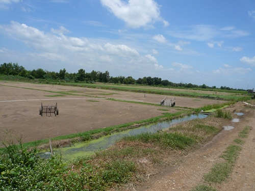 ขายที่ดิน 840 ไร่ ราคาไร่ละ 8 แสนบาท ที่ อ.ลำลูกกา คลอง 11 ปทุมธานี รูปที่ 5